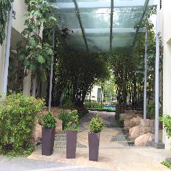Glentrees (D10), Condominium #49834242